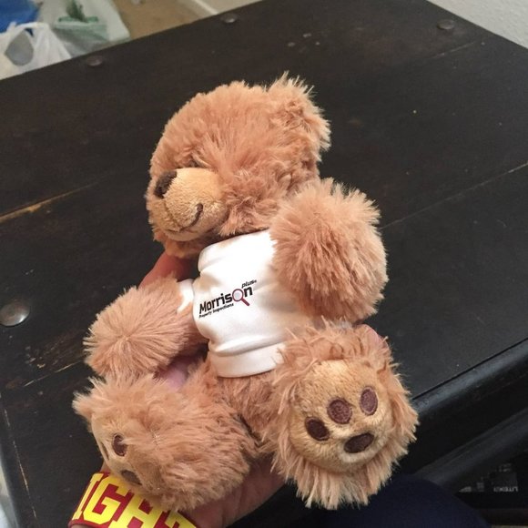 Brown Bear Plush Stuffed Animal - Picture 5 of 5